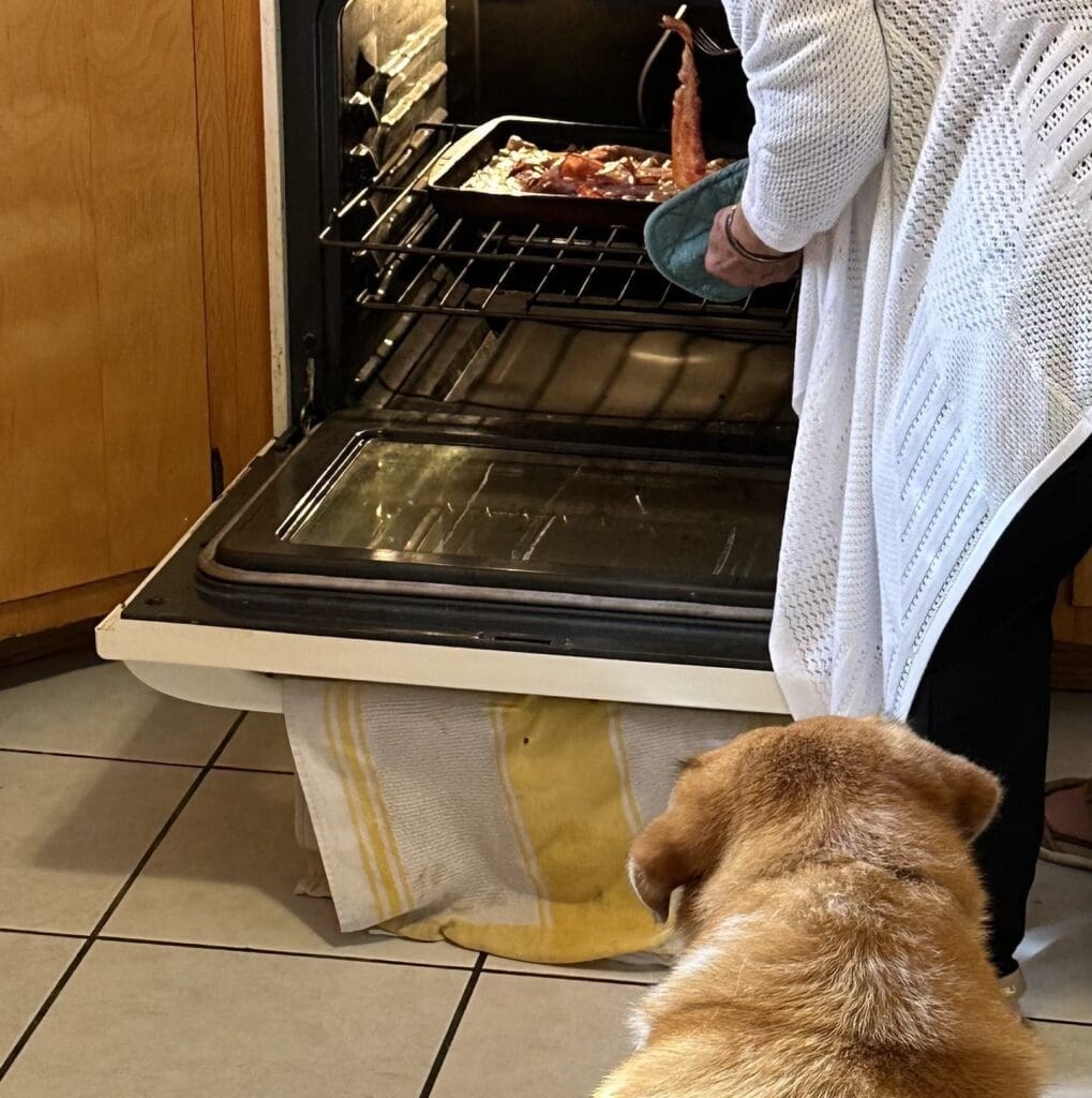 a brown dog looks on while a grandma opens the oven to check on bacon