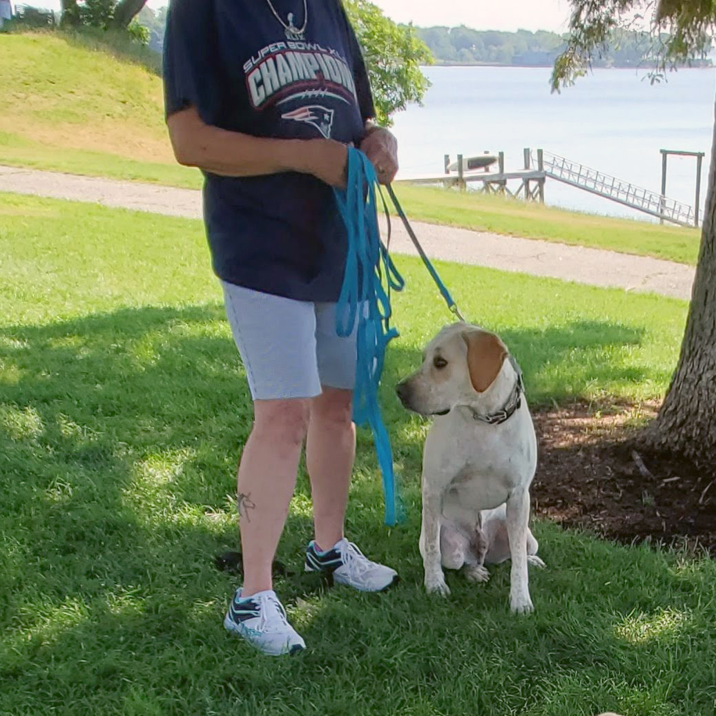 anxious dog following owner to bathroom