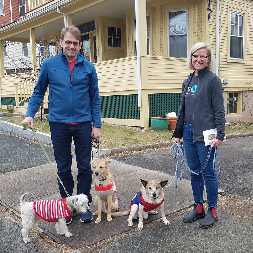 two dog owners with three leashed dogs