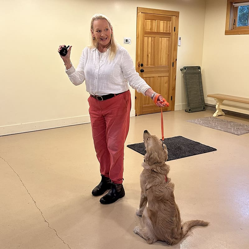 two dog owners with three leashed dogs