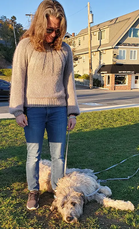 Two dogs standing on a stone wall