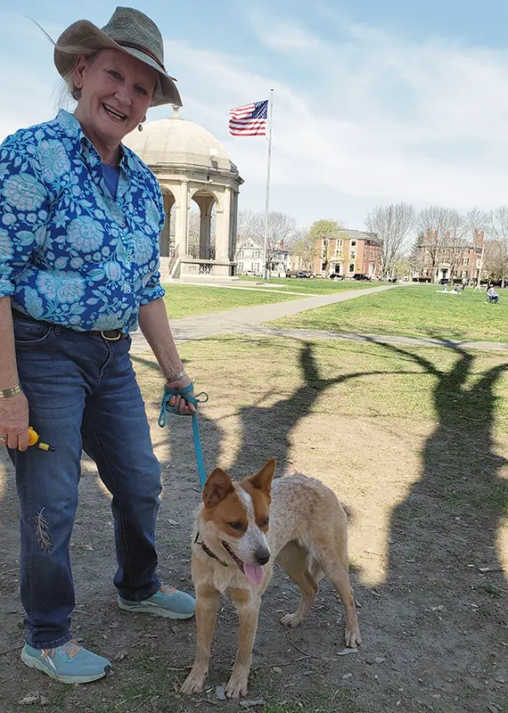 Two dogs standing on a stone wall
