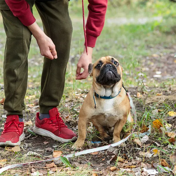 teaching-dog-come copy